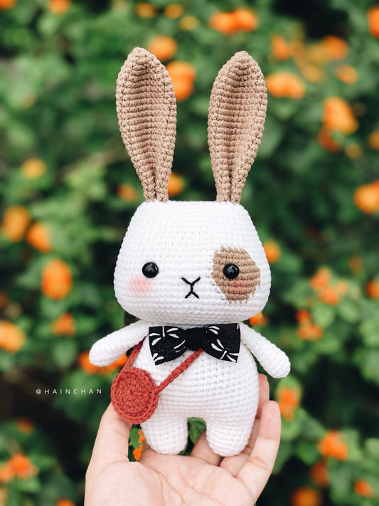 Create Your Own Rey the Little Bunny Crochet Pattern - Instant Download DIY Amigurumi Pattern in PDF File | Cute Crochet Pattern Ideas